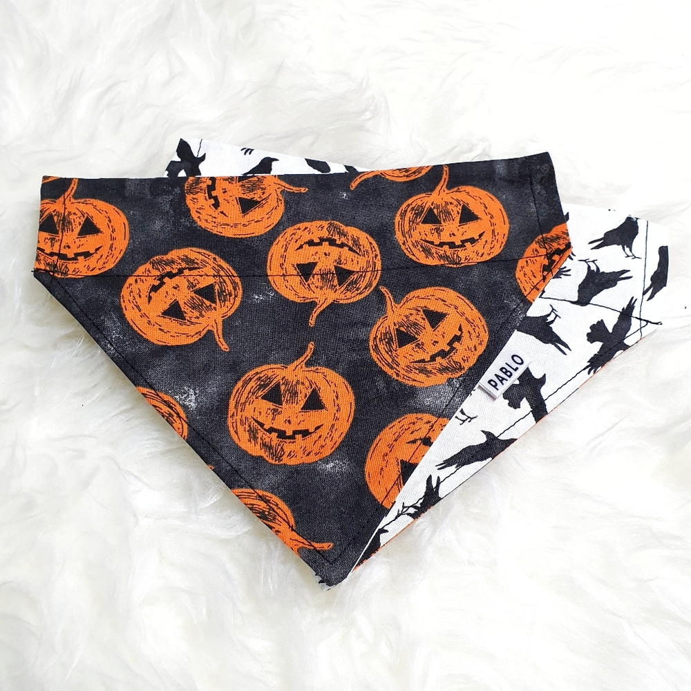 🐶 5 for $15 * Pablo Halloween Pumpkin & Crow Reversible Dog Bandana